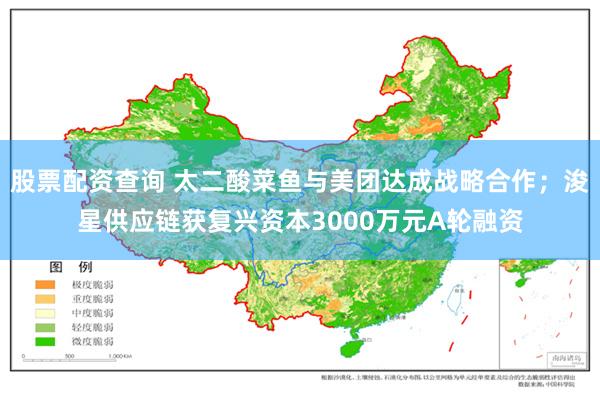 股票配资查询 太二酸菜鱼与美团达成战略合作；浚星供应链获复兴资本3000万元A轮融资