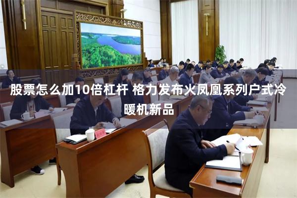 股票怎么加10倍杠杆 格力发布火凤凰系列户式冷暖机新品