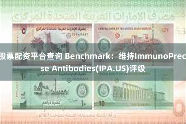 股票配资平台查询 Benchmark：维持ImmunoPrecise Antibodies(IPA.US)评级