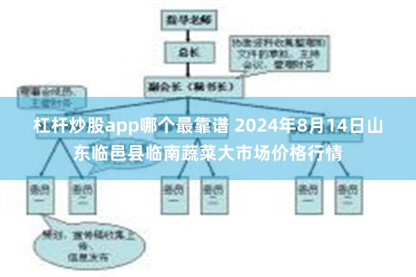 杠杆炒股app哪个最靠谱 2024年8月14日山东临邑县临南蔬菜大市场价格行情