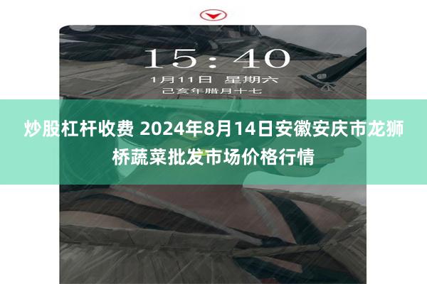 炒股杠杆收费 2024年8月14日安徽安庆市龙狮桥蔬菜批发市场价格行情