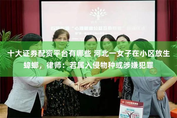 十大证券配资平台有哪些 河北一女子在小区放生蟑螂，律师：若属入侵物种或涉嫌犯罪