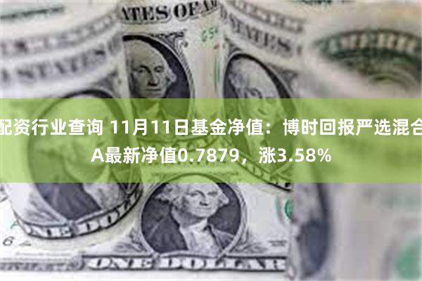 配资行业查询 11月11日基金净值：博时回报严选混合A最新净值0.7879，涨3.58%