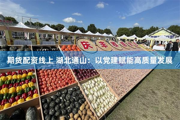 期货配资线上 湖北通山：以党建赋能高质量发展