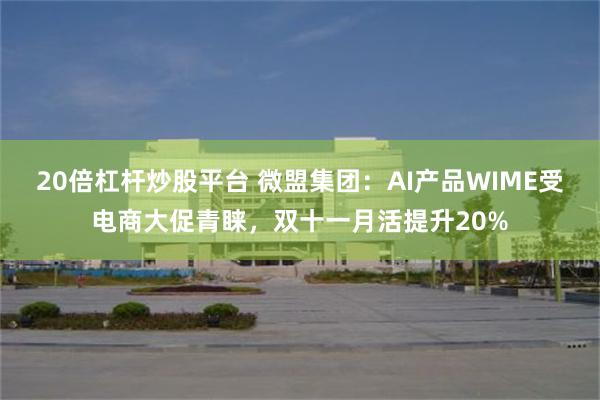 20倍杠杆炒股平台 微盟集团：AI产品WIME受电商大促青睐，双十一月活提升20%