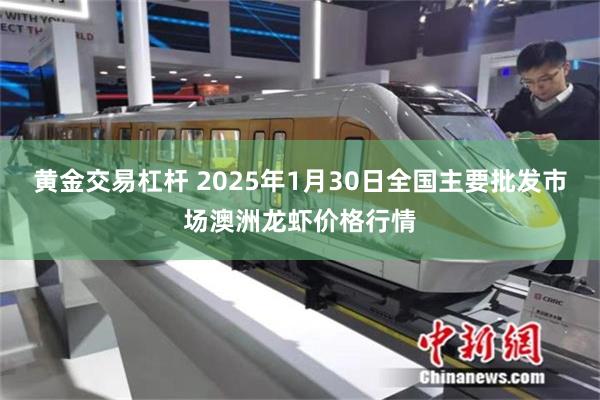 黄金交易杠杆 2025年1月30日全国主要批发市场澳洲龙虾价格行情