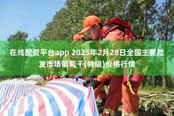 在线配资平台app 2025年2月28日全国主要批发市场葡萄干(特级)价格行情