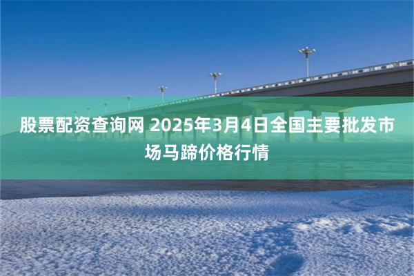 股票配资查询网 2025年3月4日全国主要批发市场马蹄价格行情