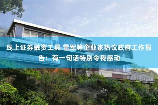 线上证券融资工具 雷军等企业家热议政府工作报告：有一句话特别令我感动