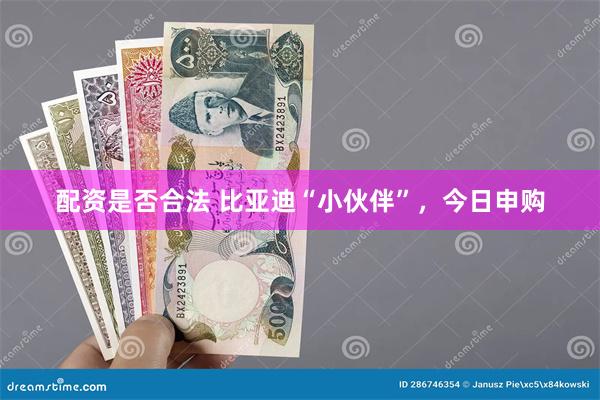 配资是否合法 比亚迪“小伙伴”，今日申购